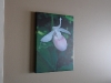 dsc01401